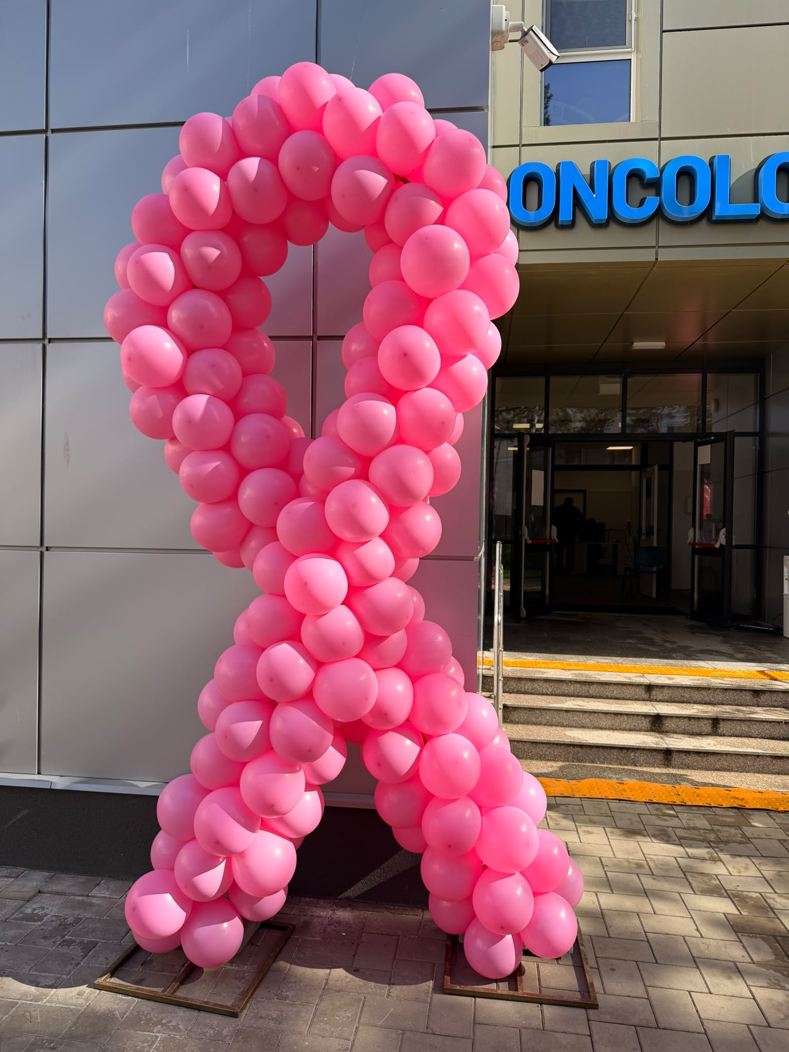 Instalatie din baloane roz in forma de panglica, la intrarea unei institutii medicale